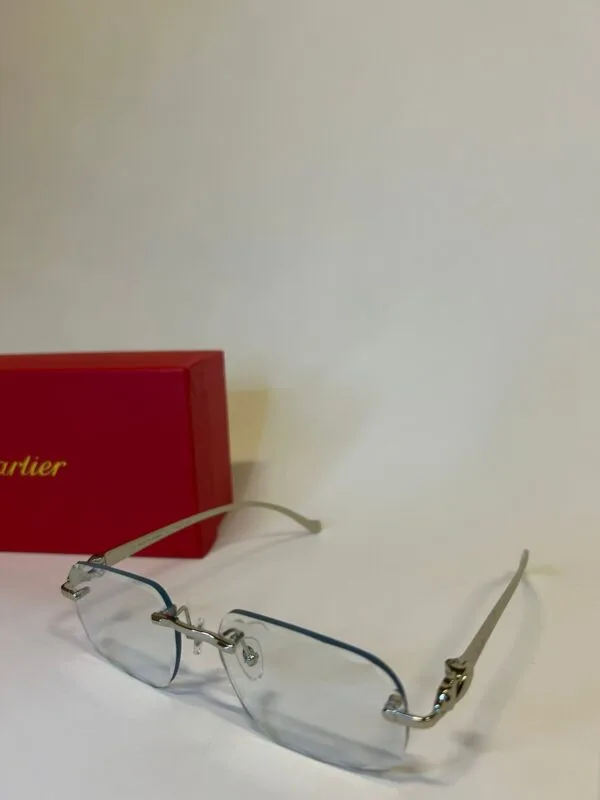 Cartier Silver Panthere Transparant/Blue