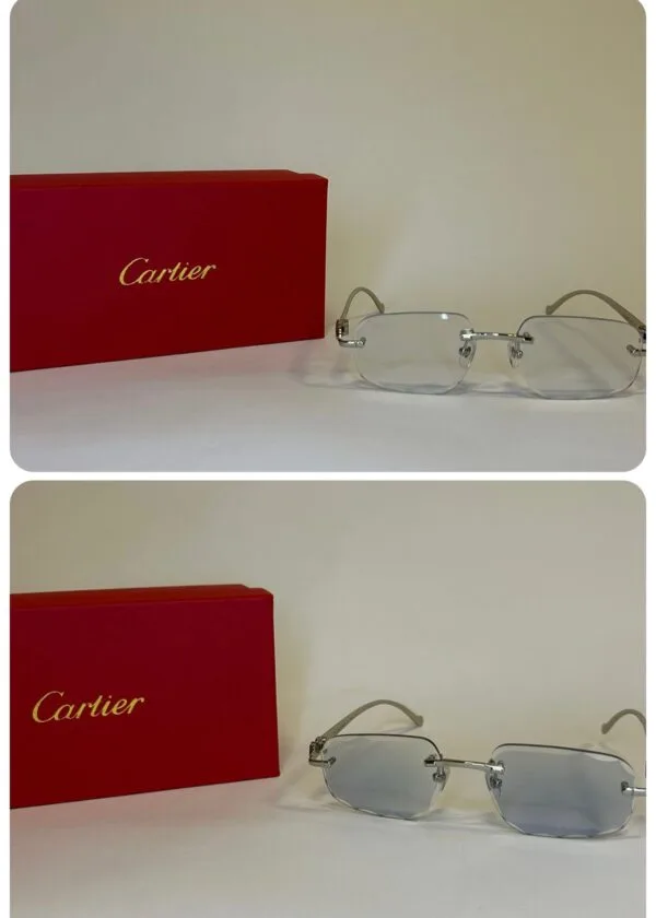 Cartier Silver Panthere Transparant/Blue