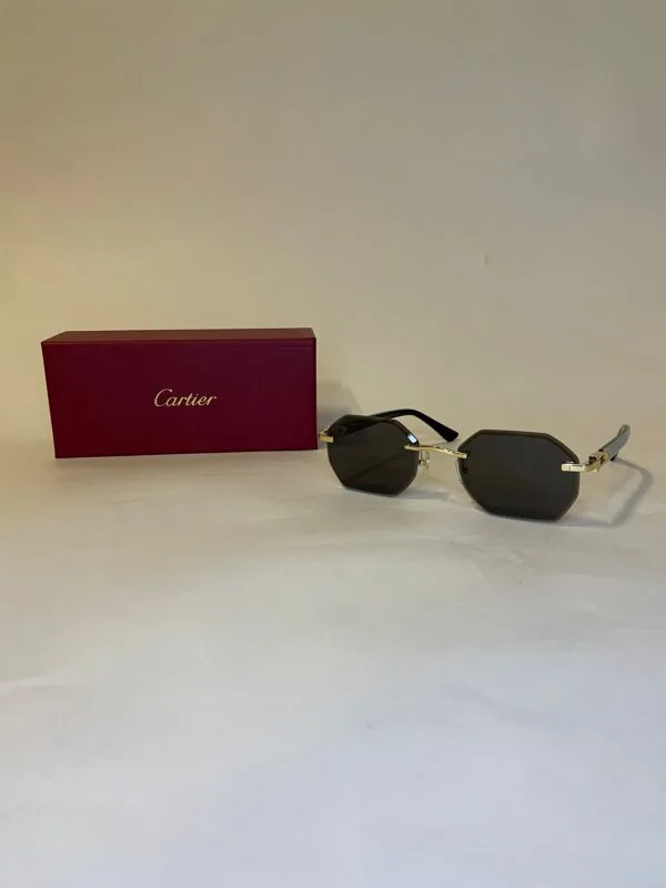 Cartier Buffalo Black Blue