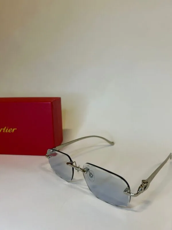 Cartier Silver Panthere Transparant/Blue