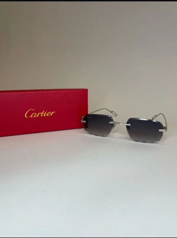Cartier CT Silver Black